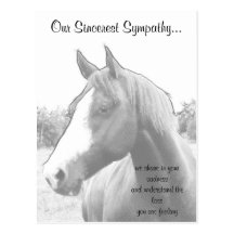 Condolencia del veterinario del caballo tarjetas postales