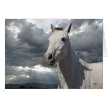 Condolencia en su pérdida - amante del caballo tarjeton