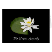 Condolencia - lirio de agua felicitaciones