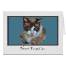 Condolencia para la pérdida de mascota con el gato felicitacion 