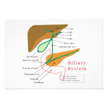 Conducto biliar biliar de la carta del diagrama de invitaciones personalizada