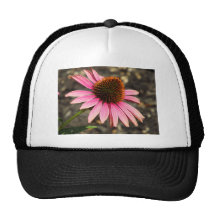 Coneflower rosado gorra