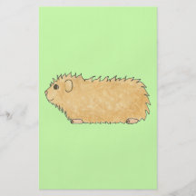 Conejillo de Indias abisinio. En verde de la menta Tarjetas Publicitarias