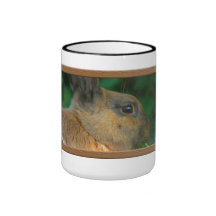 Conejito de Brown con la taza verde