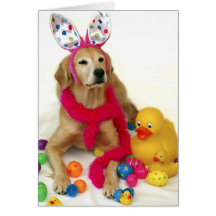 Conejito de pascua del golden retriever tarjetas