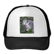 Conejito de pascua gorra