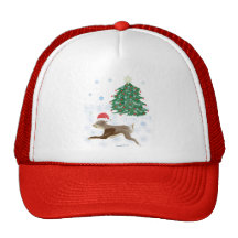 Conejito de Santa Gorras De Camionero