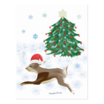 Conejito de Santa Postal