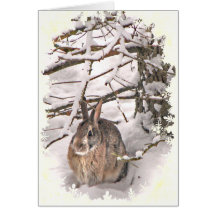 Conejito Pascua de la nieve Tarjeta