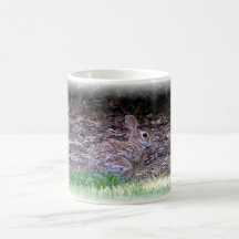 Conejito Tazas De Café