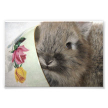 Conejito y taza de té de Lionhead Impresión Fotográfica