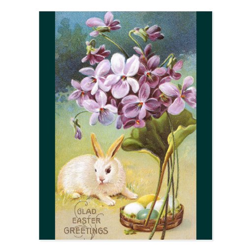 Conejito y violetas de pascua tarjeta postal