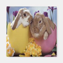 Conejitos de pascua en el imán de Pascua de los hu