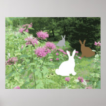 Conejitos Poster