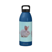 Conejo de conejito lindo de Kawaii Botallas De Agua