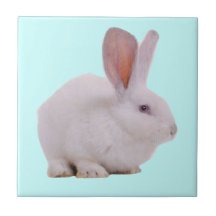 Conejo de conejito lindo de Kawaii Azulejo Ceramica