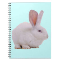 Conejo de conejito lindo de Kawaii Libros De Apuntes