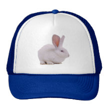 Conejo de conejito lindo de Kawaii Gorro