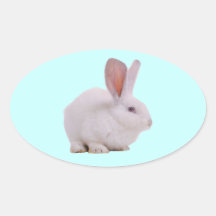 Conejo de conejito lindo de Kawaii Calcomanías Ovaladas