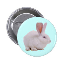 Conejo de conejito lindo de Kawaii Pin