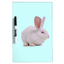 Conejo de conejito lindo de Kawaii Pizarras