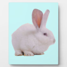 Conejo de conejito lindo de Kawaii Placa De Plastico