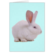 Conejo de conejito lindo de Kawaii Tarjeta