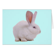 Conejo de conejito lindo de Kawaii Tarjeta