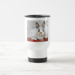 Conejo de conejito tazas