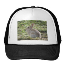 Conejo de conejo de rabo blanco gorras de camionero