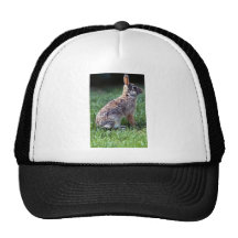 Conejo de conejo de rabo blanco gorros  