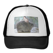 conejo de conejo de rabo blanco gorros bordados