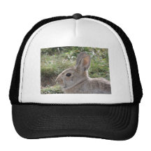 Conejo de conejo de rabo blanco gorros bordados