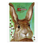 Conejo de Pascua Tarjeta Postal