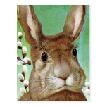 Conejo de Pascua Tarjetas Postales