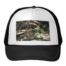 Conejo de rabo blanco del desierto gorro