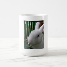 Conejo lindo tazas de café