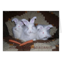 CONEJOS ALEMANES DEL ANGORA TARJETAS