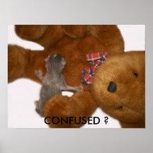 ¿CONFUSO? POSTERS