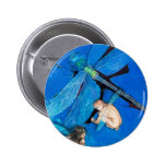 Congelado en vuelo: www.AriesArtist.com Pin