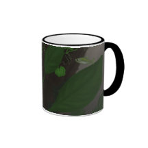 Congo Tetras entre la taza de la cubierta