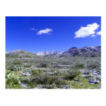 Congreso Nevado, Arizona Postales