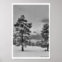 Cono de Estes, Colorado, foto digital por la marca Posters