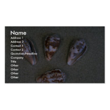 Cono de la rata (rattus) del conus Shell Tarjetas De Visita