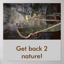 ¡Consiga detrás la naturaleza 2! poster