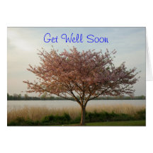 Consiga la tarjeta bien