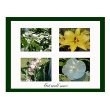 "Consiga postal floral del pozo pronto"