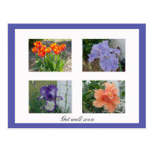 "Consiga postal floral del pozo pronto"
