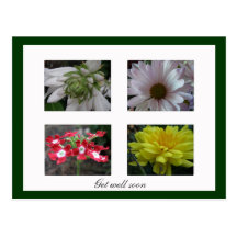 "Consiga postal floral del pozo pronto"