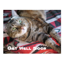 Consiga pronto el gato bien tarjeta postal
